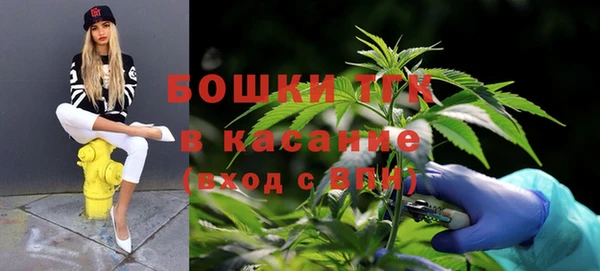 спиды Аркадак