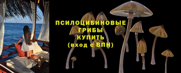 ALPHA PVP Армянск