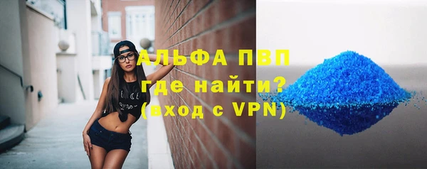 индика Арсеньев