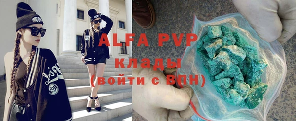 индика Арсеньев