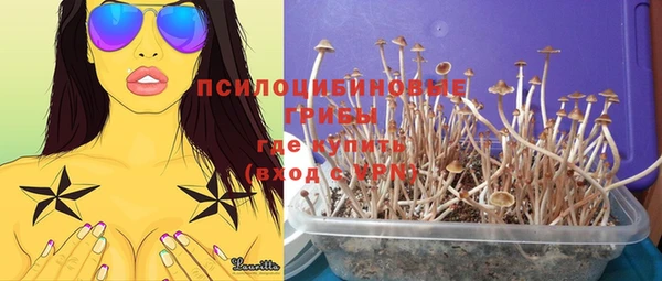 индика Арсеньев