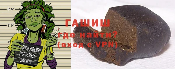 индика Арсеньев