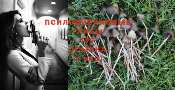 индика Арсеньев