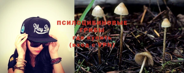 индика Арсеньев
