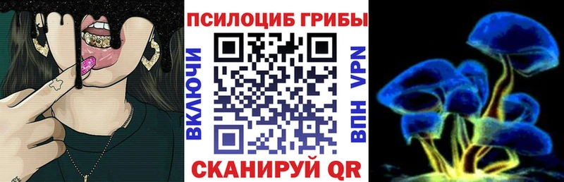 Галлюциногенные грибы прущие грибы  Купить где  Медногорск 